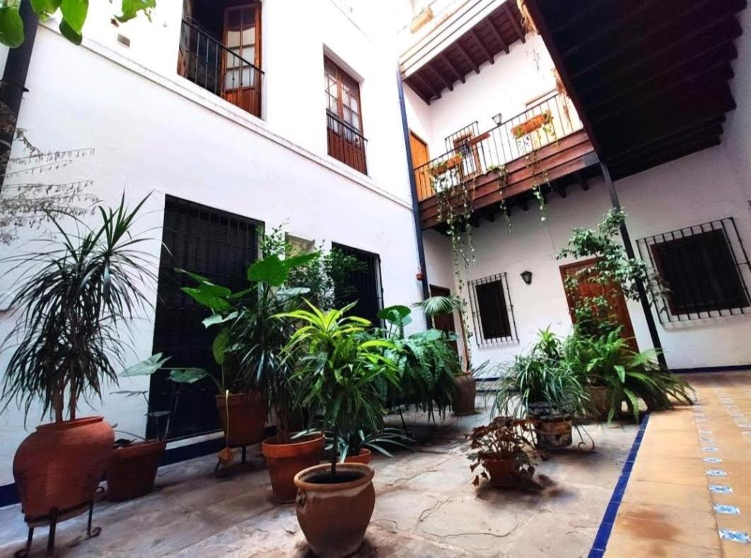 Appartement Coco Urban